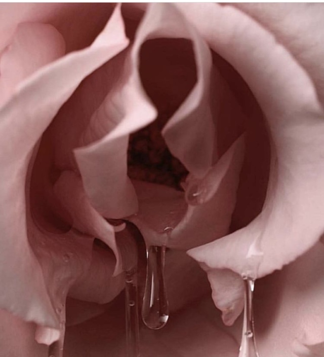 Phase 1: Awakening + Magnetism