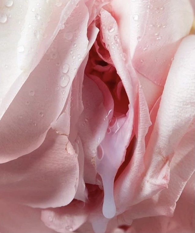 Phase 2: Embodiment + Pleasure